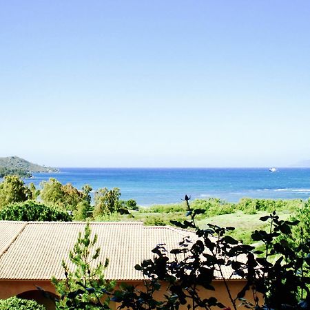 Residence Suarella Saint-Florent  Esterno foto