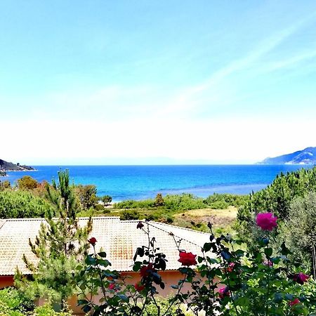 Residence Suarella Saint-Florent  Esterno foto